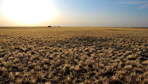 内蒙古农田草原受旱面积达2585万亩(组图)