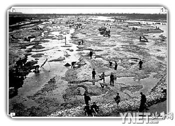 1950年海淀区的一片河道湿地（团结出版社供稿）（4／6张）