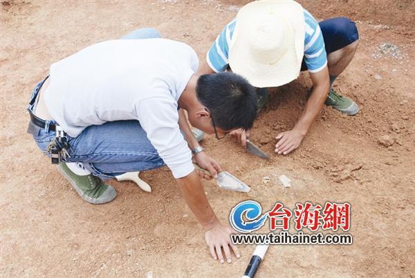 漳州诏安近日发现4处商周时期墓葬遗址(图)