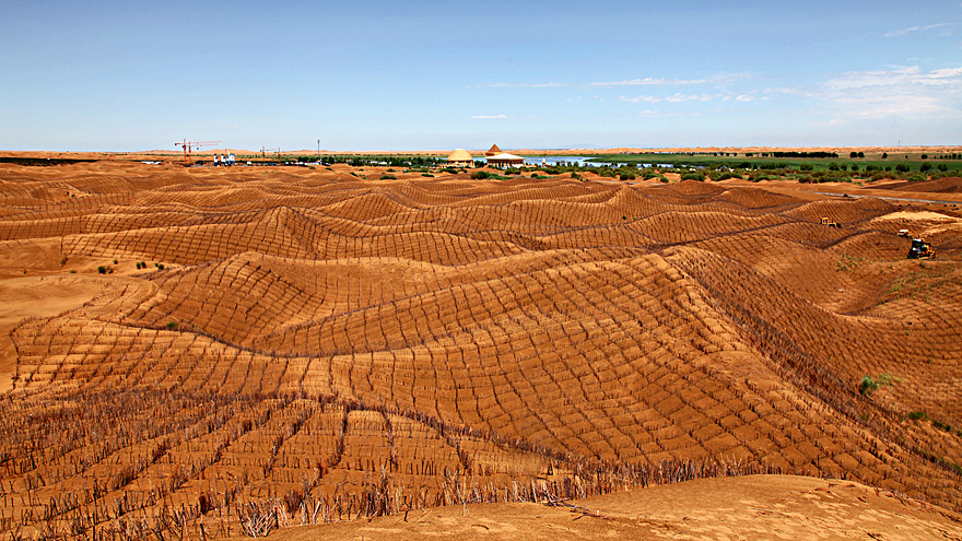 图片特刊:大漠变绿洲--库布其印象
