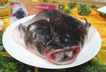 ɳͷ,鴫.