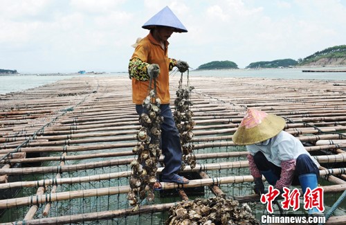 广西渔民人口_广西人口分布图