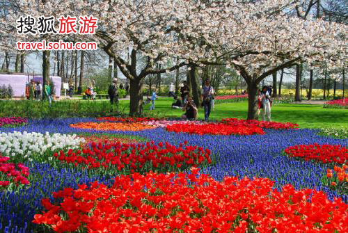 荷兰旅游攻略 花花世界荷兰