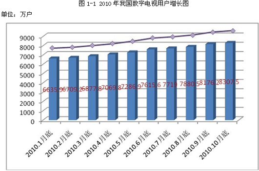 2010年中国数字电视与IPTV发展报告