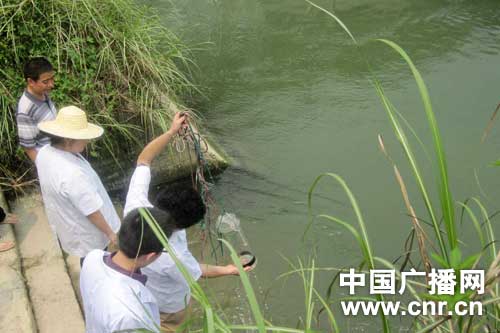 重庆人口环境分析_重庆人健康状况如何 来看这份居民健康状况报告(2)