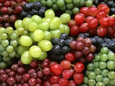 十种水果提高你的抗病力 让你更健康（图）