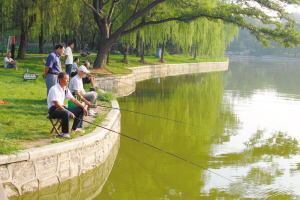 清晨四五点,沉绿湖边众人忙垂钓(图)