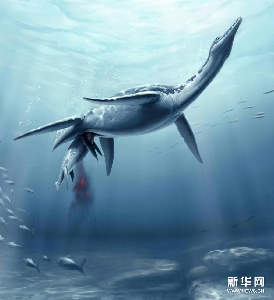 科普:化石显示蛇颈龙是“胎生”(组图)-搜狐滚动