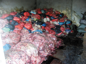 哈市道外一黑作坊烂肉下水炼毒油一年多(组图)
