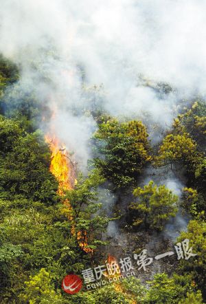 成渝高速中梁山隧道40余亩树林起火 直升机灭