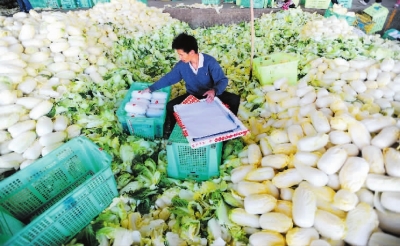 蒋家营人口_榆中蒋家营社火视频