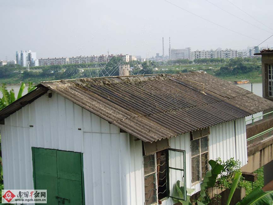 小屋奇特屋顶能自行喷水 夏天消暑市民出奇招(图)