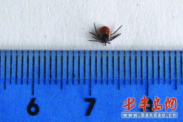 Img317640826.jpg