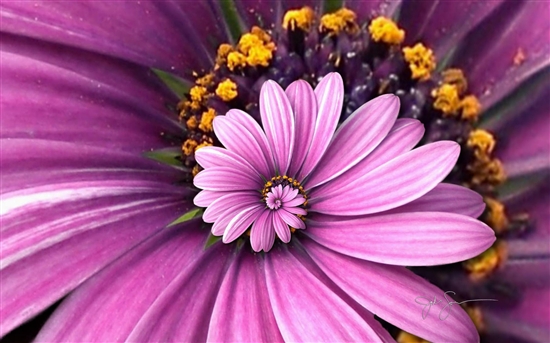 http://photocdn.sohu.com/20110830/Img317819590.jpg
