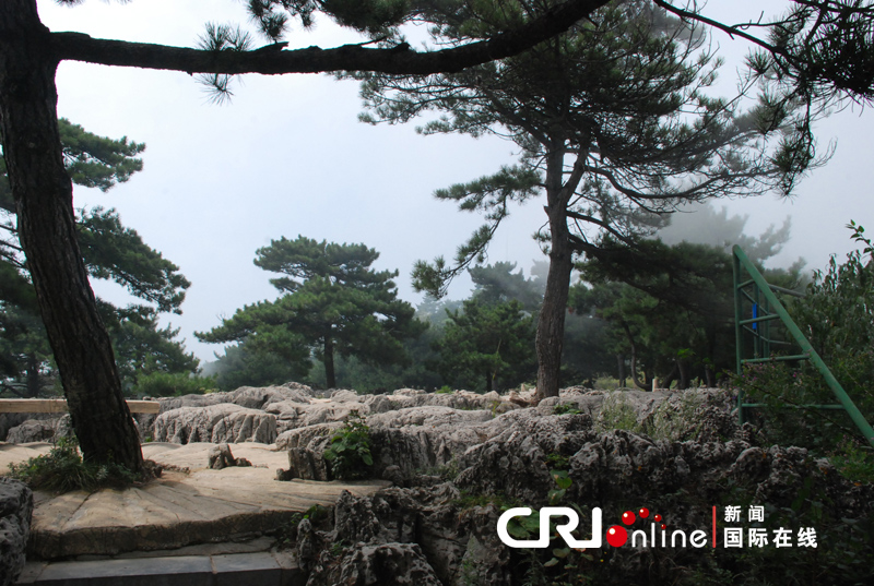 到绿色转型发展的成功范例――王莽岭风景区(