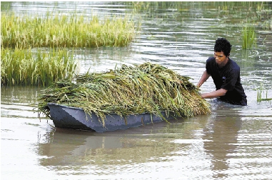 泰国洪灾54人遇难(图)