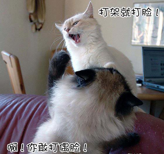 捐精护士献身动态图,钢珠弹弓枪图纸,凉拖鞋加工 ...