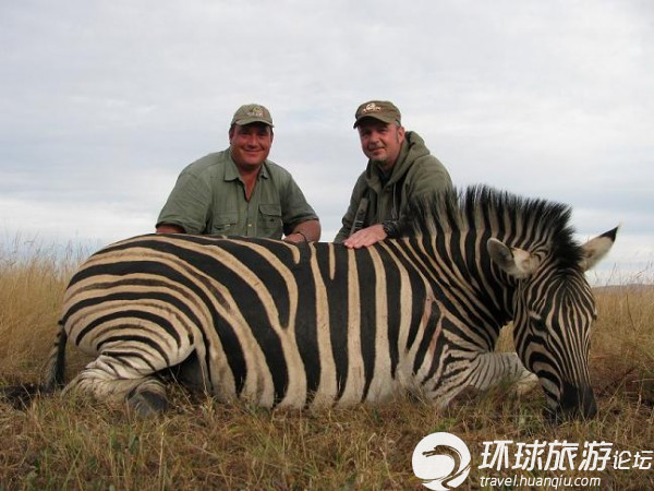 国外兴起狩猎之旅 非洲野生动物遭殃(组图)