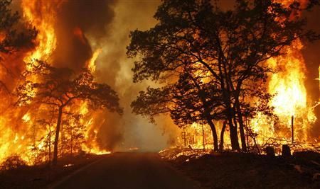 美国德州山火烧毁100万亩土地致2人死亡(图)