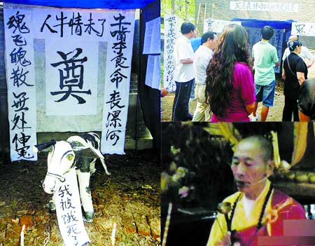 奶牛因政府锁大门饿死 老板为死去奶牛开追悼会