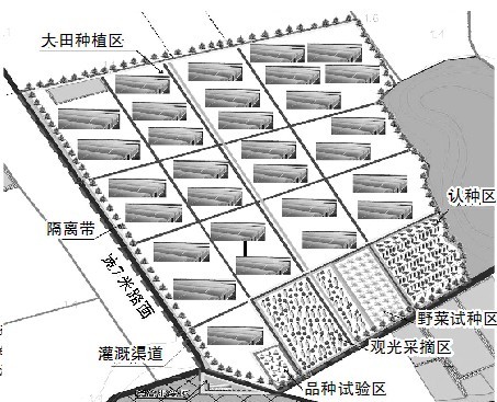 我省最大有机蔬菜基地即将上马(图)