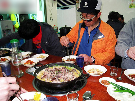 韩国人的食狗文化 残忍血腥_新闻图站_中国广播网