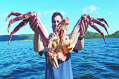 最近有新闻报道,超过100万只巨型帝王蟹入侵南极,帝王蟹因其体型巨大