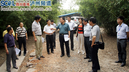 小产业大效益 泸州纳溪林下鸡养殖小区助农增收(图)