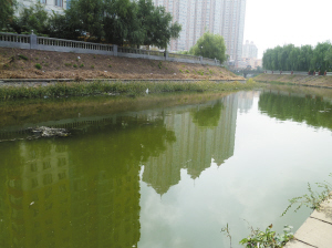 马家沟将有活水源 实现清水长流(图)