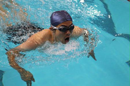 专利审查协作北京中心游泳比赛在奥体中心举行