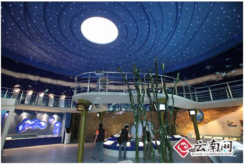 澄江已经建成古生物化石展览馆