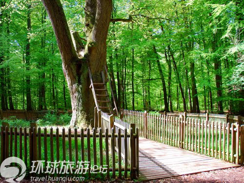 Img320922385.jpg