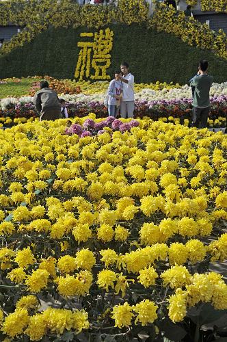 市中山公园举行,展出300余个品种的15万盆菊花,吸引众多市民前来赏花