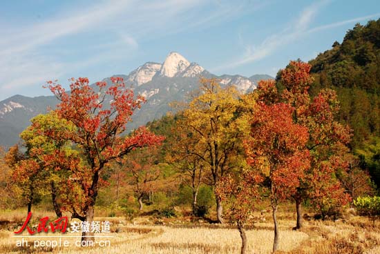 安徽天堂寨秋季旅游指南(组图)