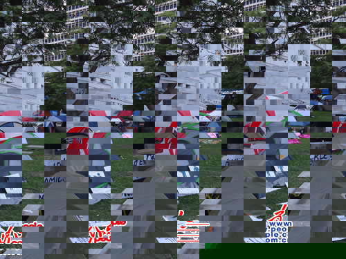 在洛杉矶市政厅东北侧的草坪上，示威者架起了数十顶各种颜色的露营帐篷。人民网记者 陈一鸣摄