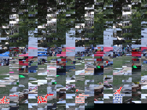 在洛杉矶市政厅东北侧的草坪上，示威者架起了数十顶各种颜色的露营帐篷，地上散放着写有“呼唤公平”等诉求的牌子。人民网记者 陈一鸣摄