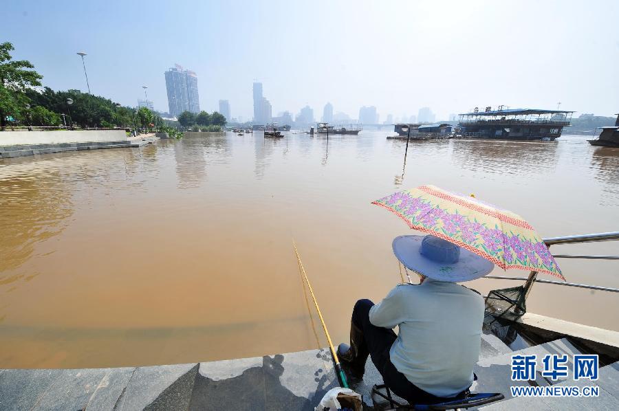 连续强降雨致广西南宁遭严重内涝 市民广场钓