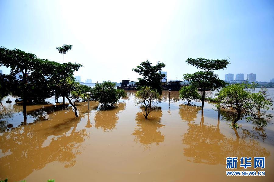 连续强降雨致广西南宁遭严重内涝 市民广场钓