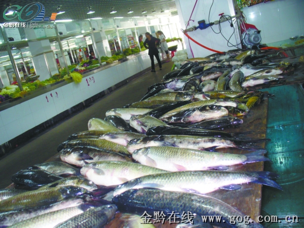 金黔在线讯 昨日中午,在南明区绿苑惠民综合农贸市场卖鱼的陈女士致电