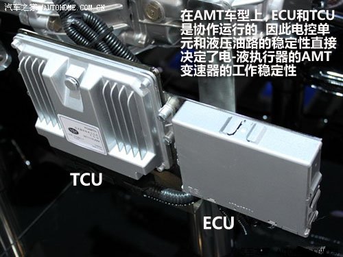 关晓彤内衣裤照片_ecu内衣裤除菌液(2)