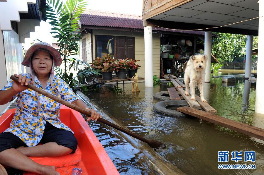 泰国洪灾严重 洪灾已致297人死2人失踪_新闻