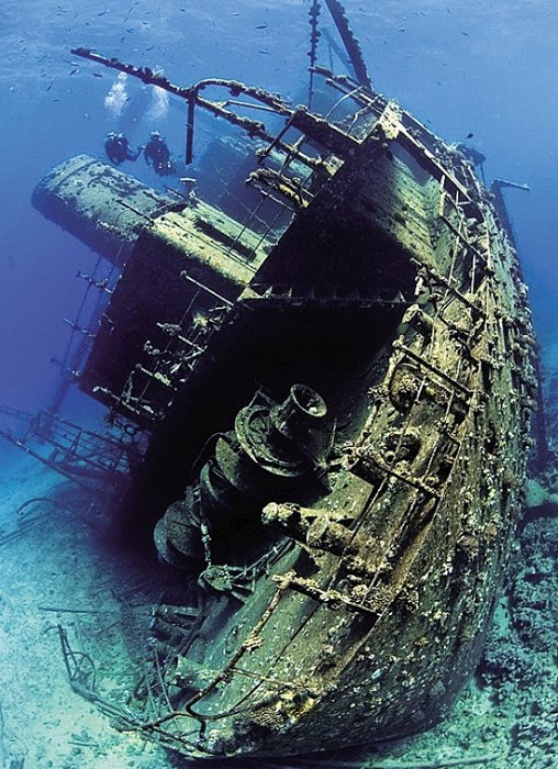 d"号,这是在红海发现的最大沉船残骸