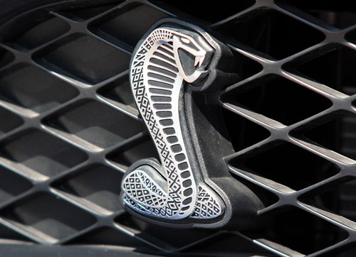 2011款福特野马Shelby GT500实拍 眼镜蛇来了