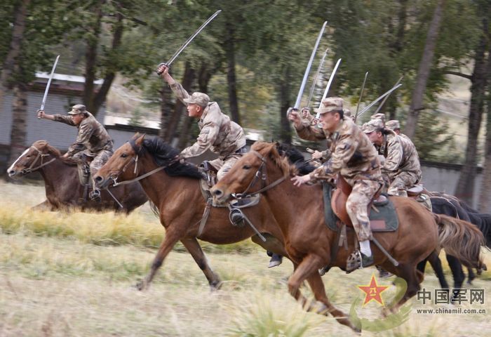 骑兵马上冲锋陷阵(组图)