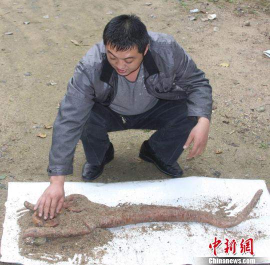 庞洪杰仔细端详他挖出的巨型佛手野山药李晋摄