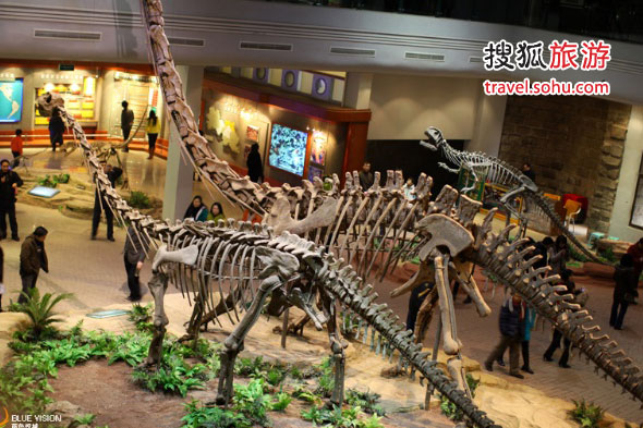 自贡恐龙博物馆旅游攻略
