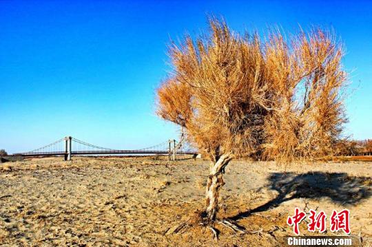 额尔齐斯河上牧道桥飞跨两岸景象壮观(图)