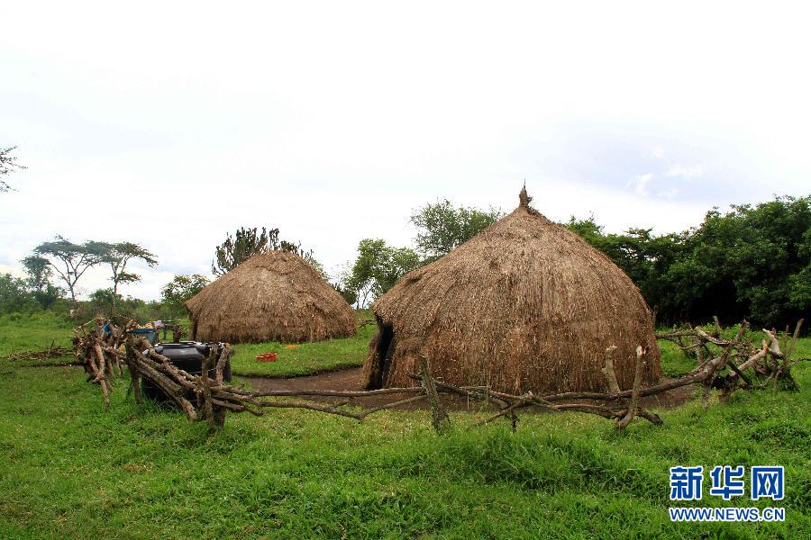 乌干达重建传统茅草屋以保护部落文化(组图)-搜狐滚动