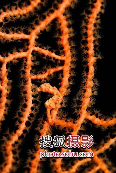 图22