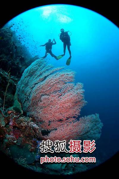 图24